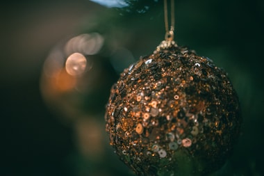 Album: FestU Julbord