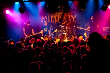Album: Öltältet: Mimikry