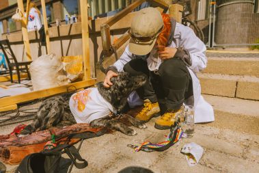 Album: Byggplats Dag 6