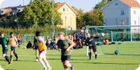 Bild nummer 88534