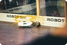 Robot-SM 2025