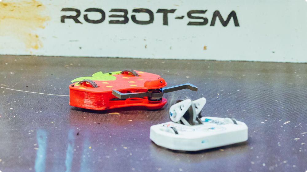 Robot-SM 2025