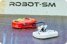 Robot-SM 2025