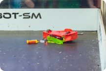 Robot-SM 2025