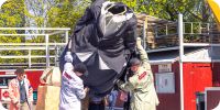 Bild nummer 90680