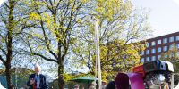 Bild nummer 90731