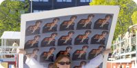 Bild nummer 90748