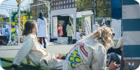Bild nummer 90913
