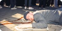 Bild nummer 91372