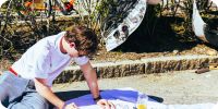 Bild nummer 95857