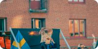 Bild nummer 96242