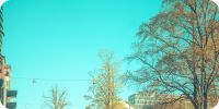 Bild nummer 96356