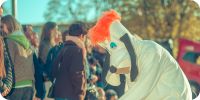 Bild nummer 96365