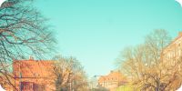 Bild nummer 96379