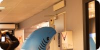 Bild nummer 96856