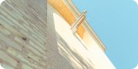 Bild nummer 97372