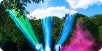 Bild nummer 97451