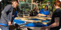 Bild nummer 97622