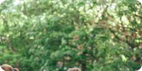 Bild nummer 97637