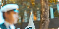 Bild nummer 98416